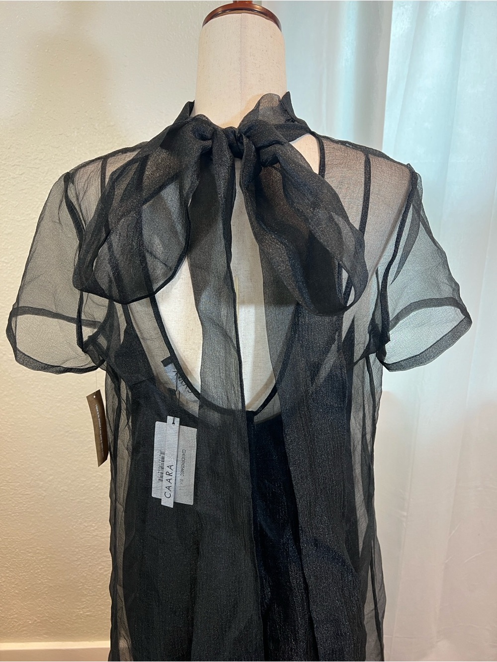 Caara Melody Black Sheer Ruffle-Hem Maxi Dress. Size XS. NWT - Picture 5 of 16